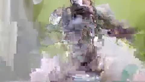 Snapshot of tattoo3333 chatting on 14, 9, 2025 tattoo3333 online show from 14, 9, 2025