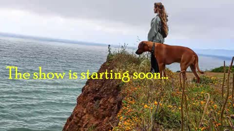 TATUM  ALL MY LINKS  online show from 11, 2, 2026