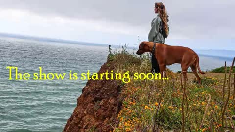 TATUM  ALL MY LINKS  online show from 15, 3, 2026