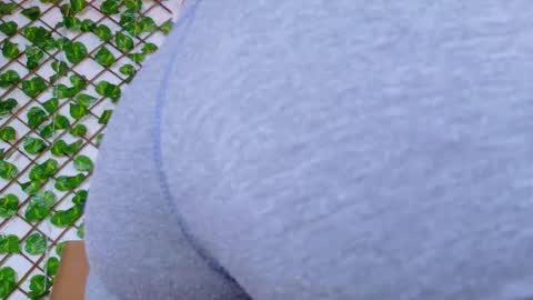 Snapshot of taty_miller chatting on 15, 2, 2026 Taty Miller online show from 15, 2, 2026