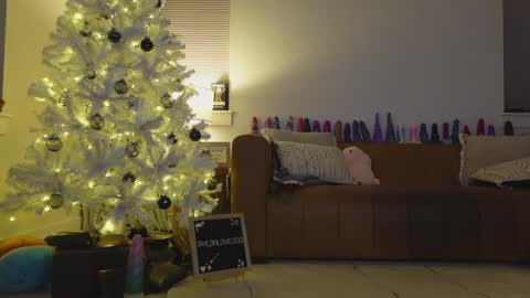 Taylor --  online show from 21, 12, 2025