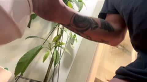 Snapshot of teet69 chatting on 10, 3, 2026 teet69 online show from 10, 3, 2026