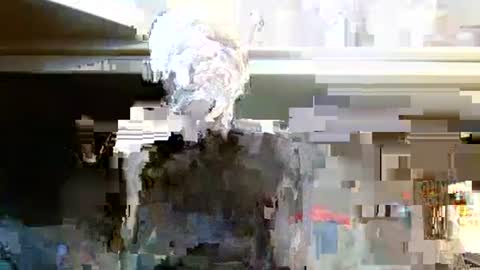 Snapshot of terdy2366 chatting on 7, 10, 2025 terdy2366 online show from 7, 10, 2025