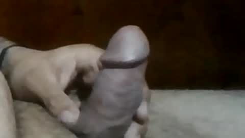 Snapshot of texasbigdaddy63 chatting on 19, 9, 2025 texasbigdaddy63 online show from 19, 9, 2025