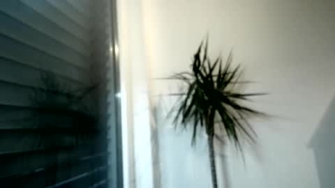 tger2024 online show from 1, 12, 2025