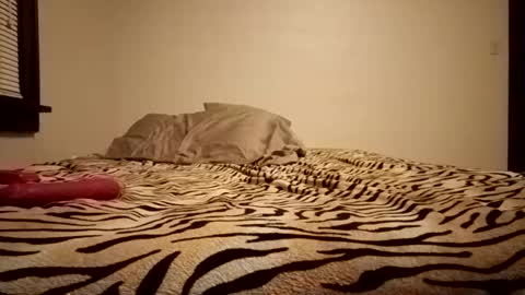 thatman1997655 online show from 11, 11, 2025