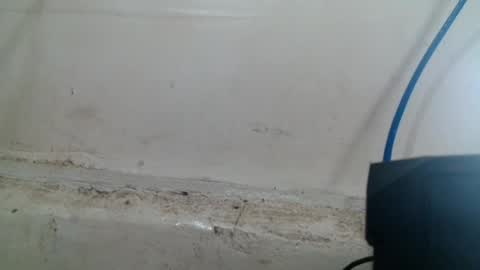 Snapshot of the_girl_in_the_street chatting on 15, 7, 2026 marj online show from 15, 7, 2026