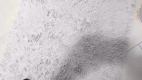 TheOne online show from 8, 4, 2026