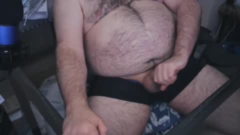 The Bear King online show from 23, 1, 2025