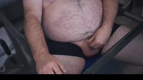 The Bear King online show from 28, 10, 2025