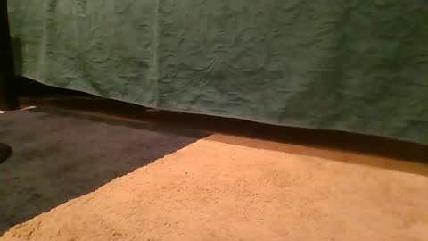 thedickhard1010 online show from 2, 4, 2026