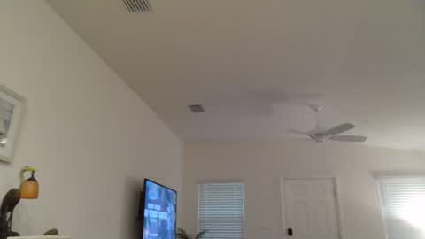 Dominick online show from 6, 7, 2026