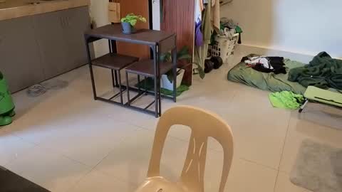 Green online show from 1, 4, 2026