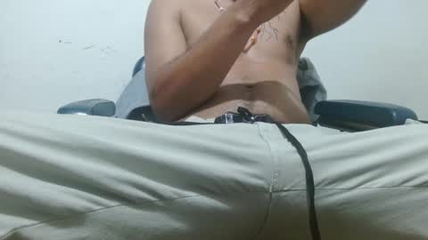 thehousedog online show from 24, 2, 2026