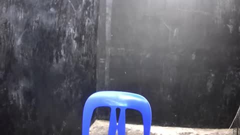 Xerxis online show from 10, 3, 2025