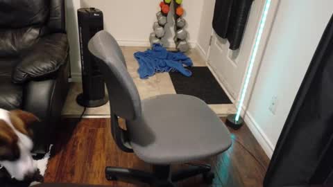 thekodyy online show from 21, 11, 2025