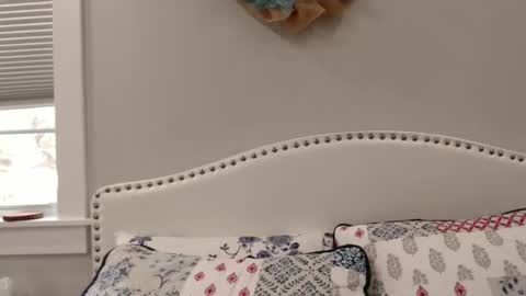 Lacey online show from 1, 12, 2024