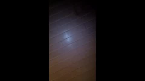 theonlyboi43ver online show from 26, 2, 2026