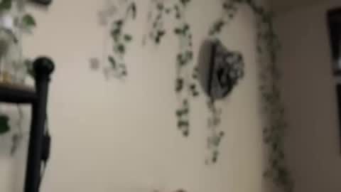 Snapshot of therealferrarii chatting on 10, 5, 2026 therealferrarii online show from 10, 5, 2026