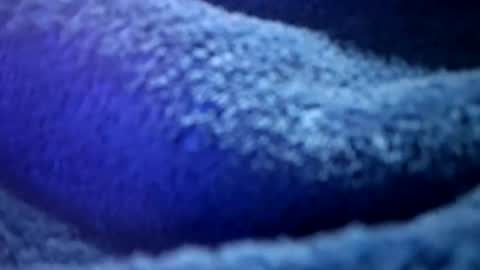 that would be telling online show from 16, 2, 2026