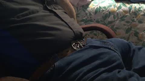 thetnguy online show from 21, 12, 2024