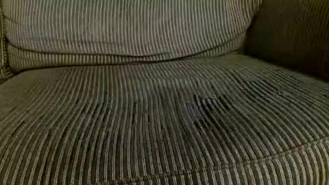 Snapshot of thick_dom chatting on 24, 2, 2026 Thick Dom online show from 24, 2, 2026