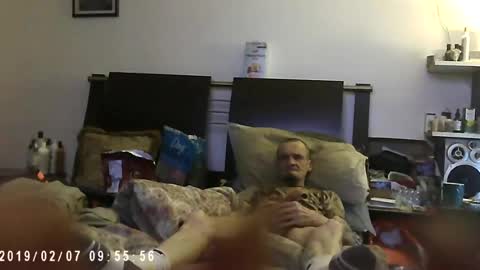 tibed1968836757 online show from 24, 6, 2026