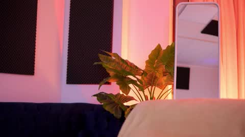 Tiff online show from 23, 2, 2026