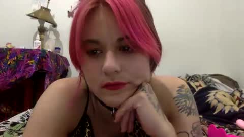 Tigerlily online show from 20, 9, 2025