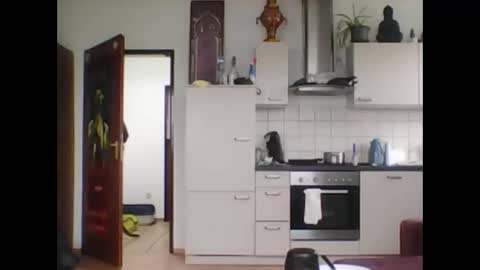 tigertrance online show from 11, 3, 2025