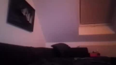 tigertrance online show from 17, 11, 2025