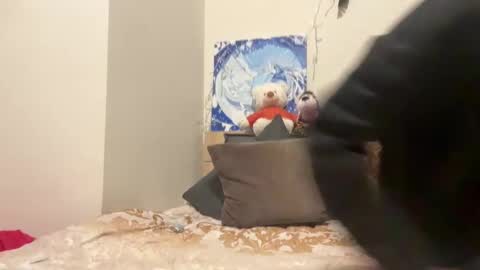 Snapshot of timveret chatting on 8, 12, 2024 Wizard online show from 8, 12, 2024