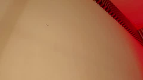 Tina  online show from 29, 9, 2025