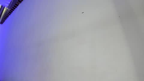 Tina  online show from 1, 11, 2025