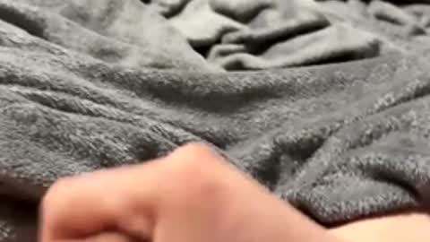 tmue online show from 15, 2, 2026