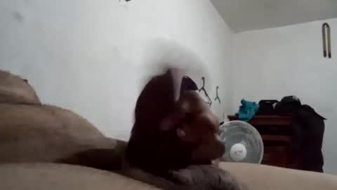 tobe557337 online show from 17, 12, 2024