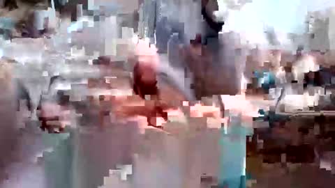 tobe557337 online show from 15, 10, 2025