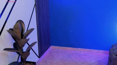 todoroki_g online show from 29, 10, 2025