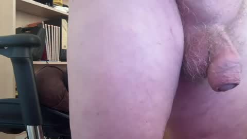 Togbear online show from 28, 7, 2026