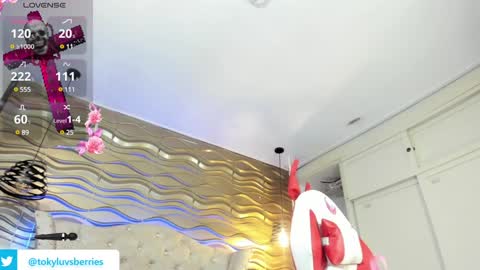 toky         online show from 11, 1, 2025