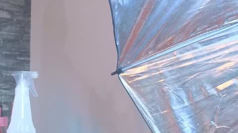 Tokyo online show from 14, 1, 2026