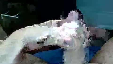 tom4yourself online show from 29, 5, 2026