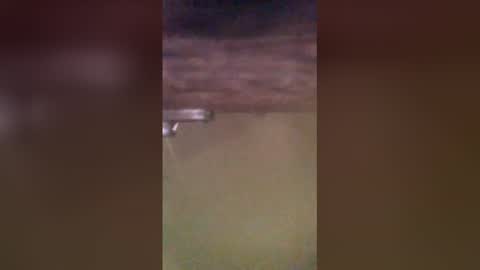 tomcop11111 online show from 29, 3, 2026