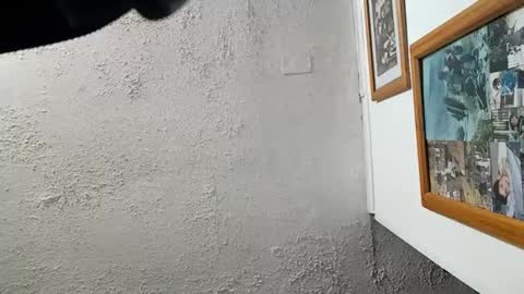 Tommy online show from 23, 11, 2025