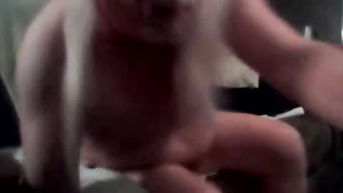 Snapshot of tommythayer2112 chatting on 1, 12, 2025 tommythayer2112 online show from 1, 12, 2025