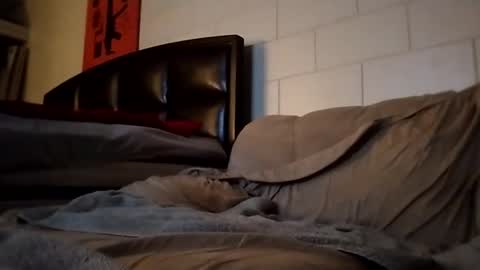 tomthebomb347 online show from 14, 9, 2025