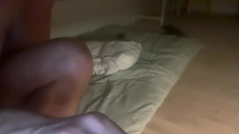 Snapshot of tordep chatting on 14, 11, 2025 tordep online show from 14, 11, 2025