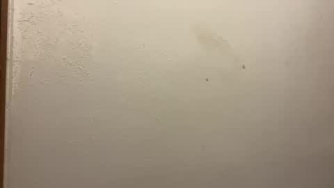 toronto5656 online show from 5, 2, 2025