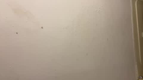 toronto5656 online show from 3, 3, 2025