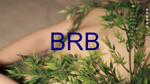 Toshi online show from 27, 1, 2025